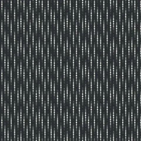 PBS - Moon Stripe - Black / 12014932