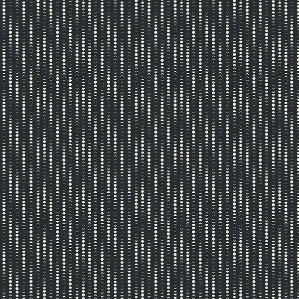 Paintbrush Studio PBS - Moon Stripe - Black / 12014932