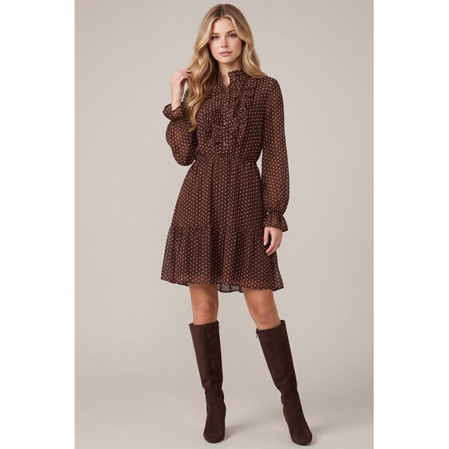 Brown Polka Dot Dress with Sheer Sleeves