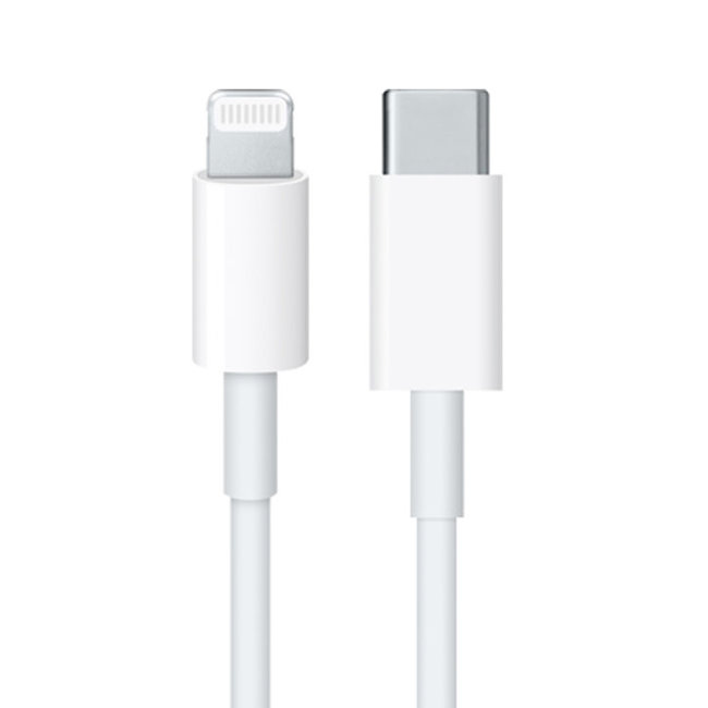 Techy PD Type-C to Lightning Cable 10 Ft - White