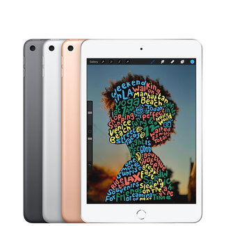 For Apple Apple iPad Mini5 64 GB WIFI