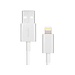 Moshi USB Lightning Cable for Apple Devices