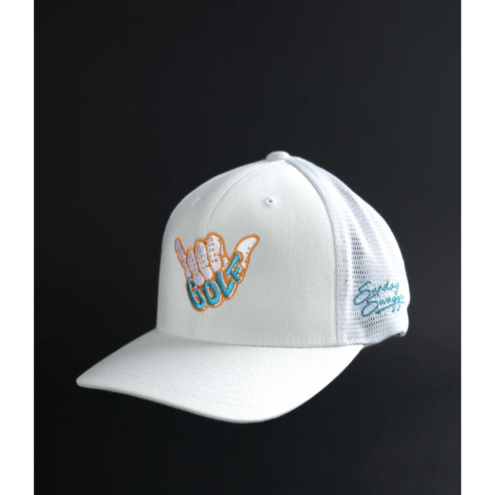 FlexFit Snap back