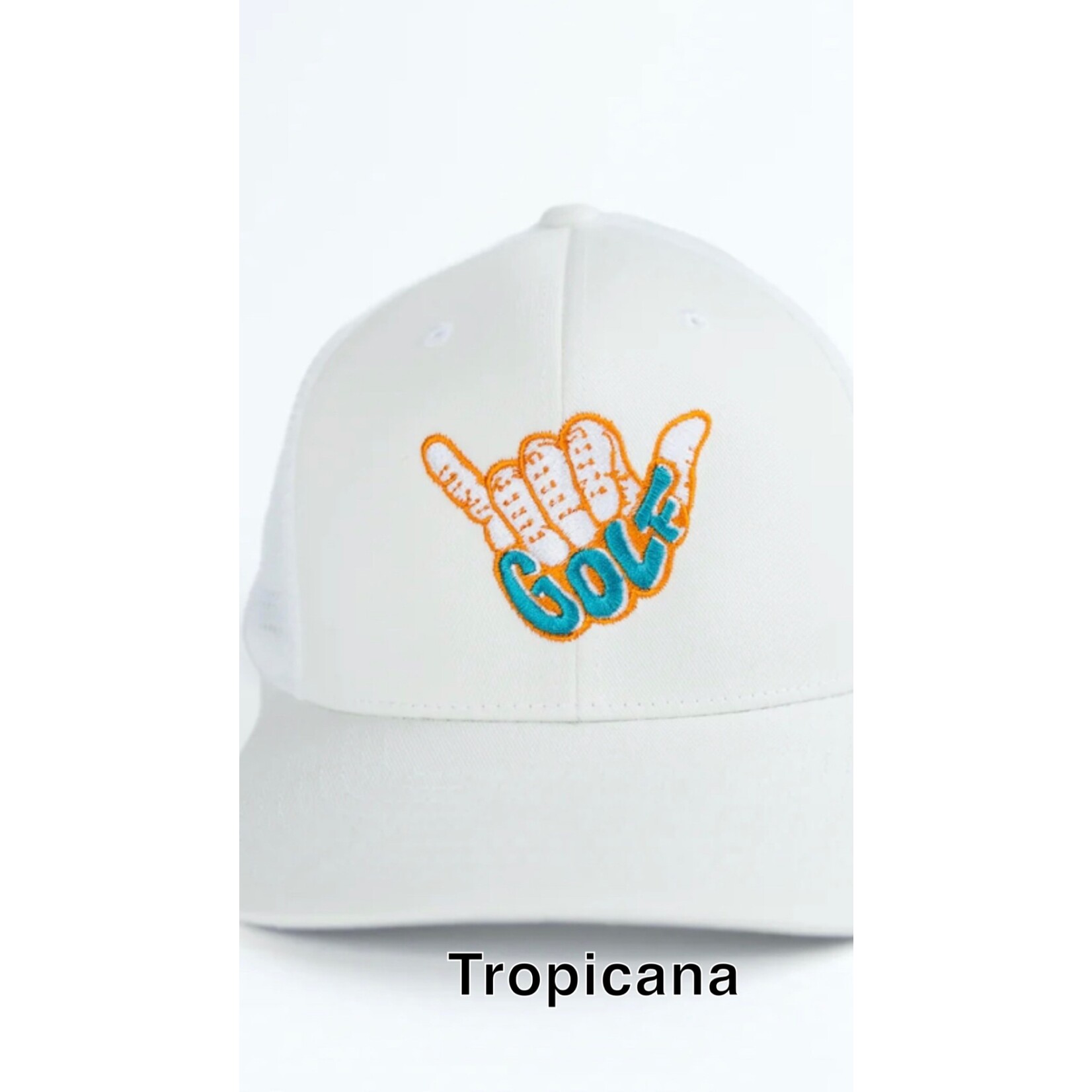 FlexFit Snap back