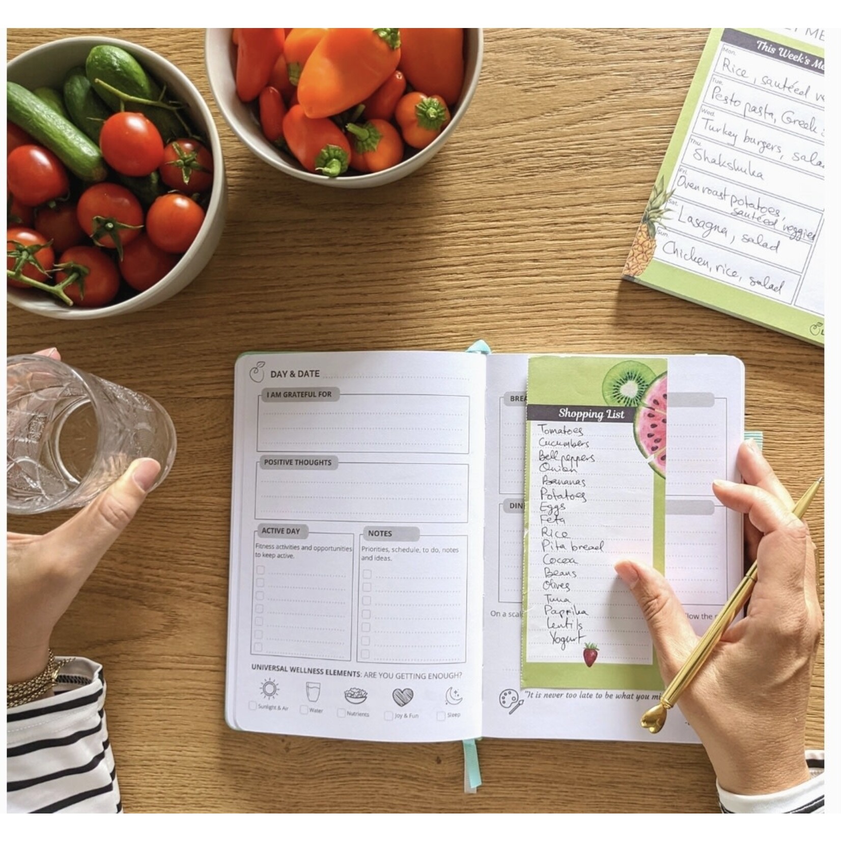 Wellness Planner
