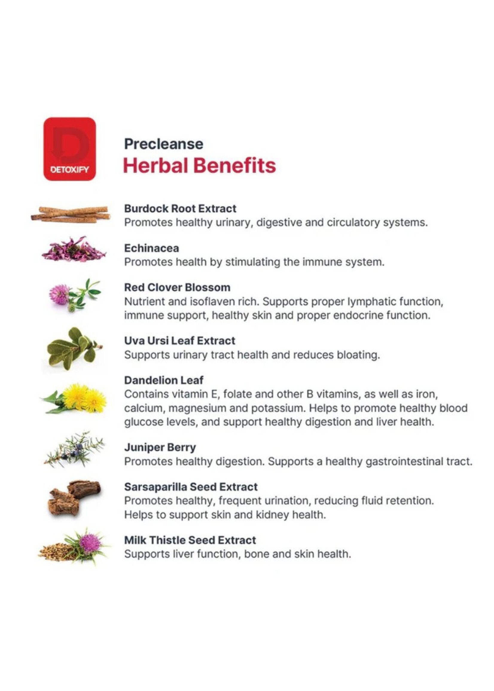 Detoxify Detoxify Precleanse - 6 Capsules