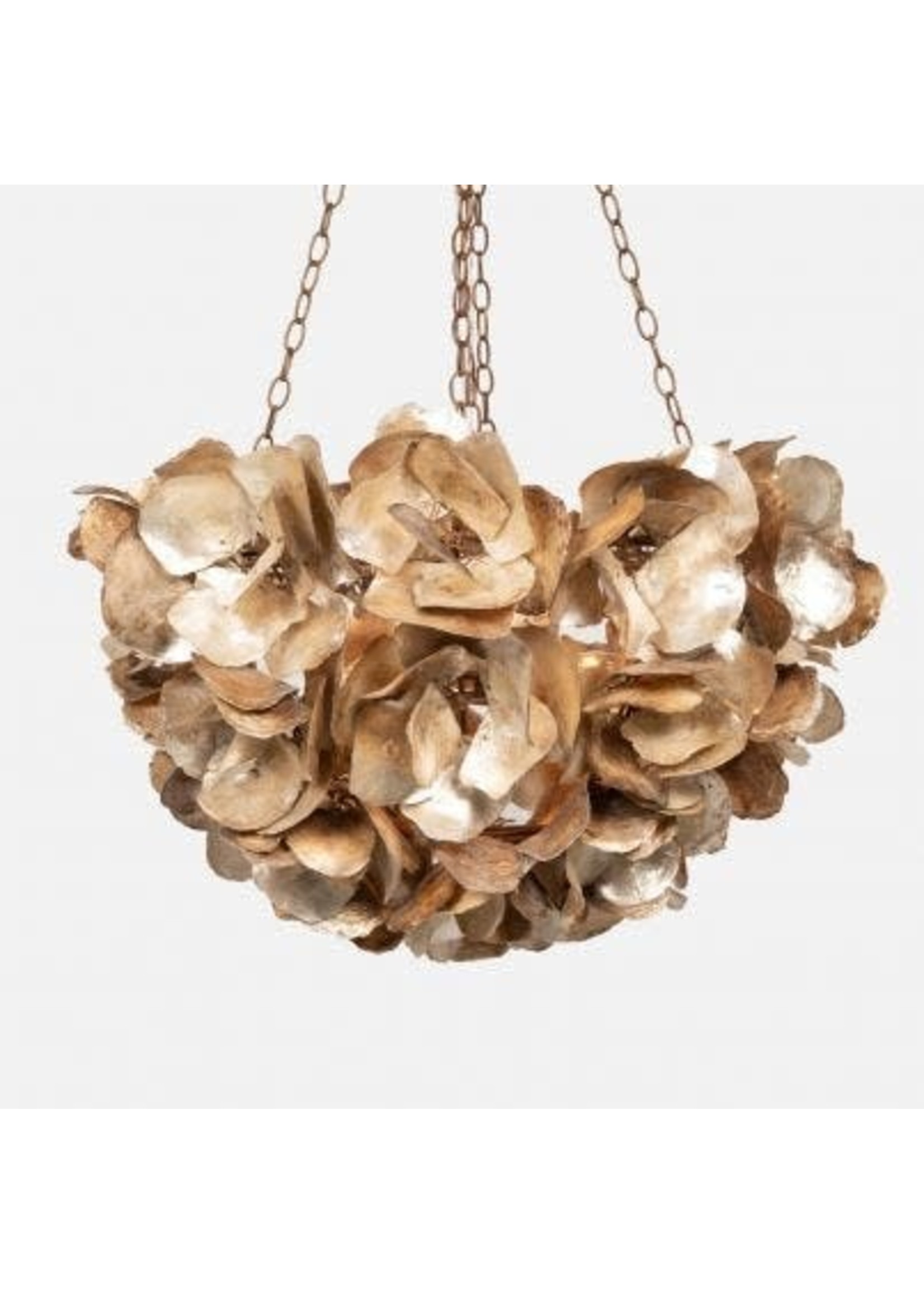 Made Goods Made Goods Venus Chandelier Natural Saddle Oyster Shell