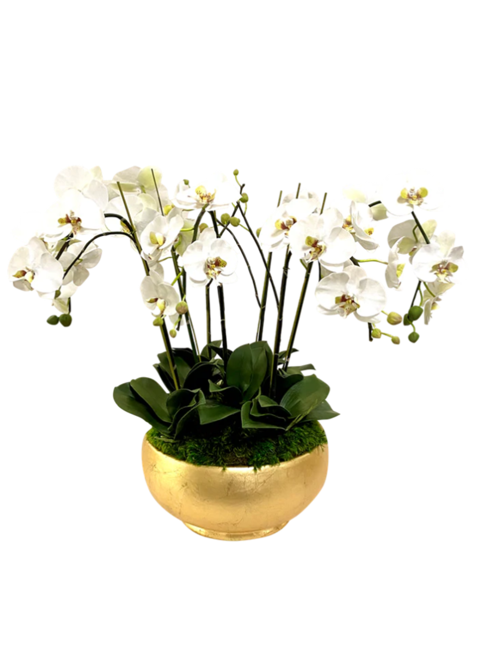 Bougainvillea Resin Round Bowl Large Gold Leaf - Artificial Orchids White & Green