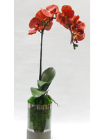 Bougainvillea Bougainvillea Orange Artificial Orchid in Smoke Glass Vase