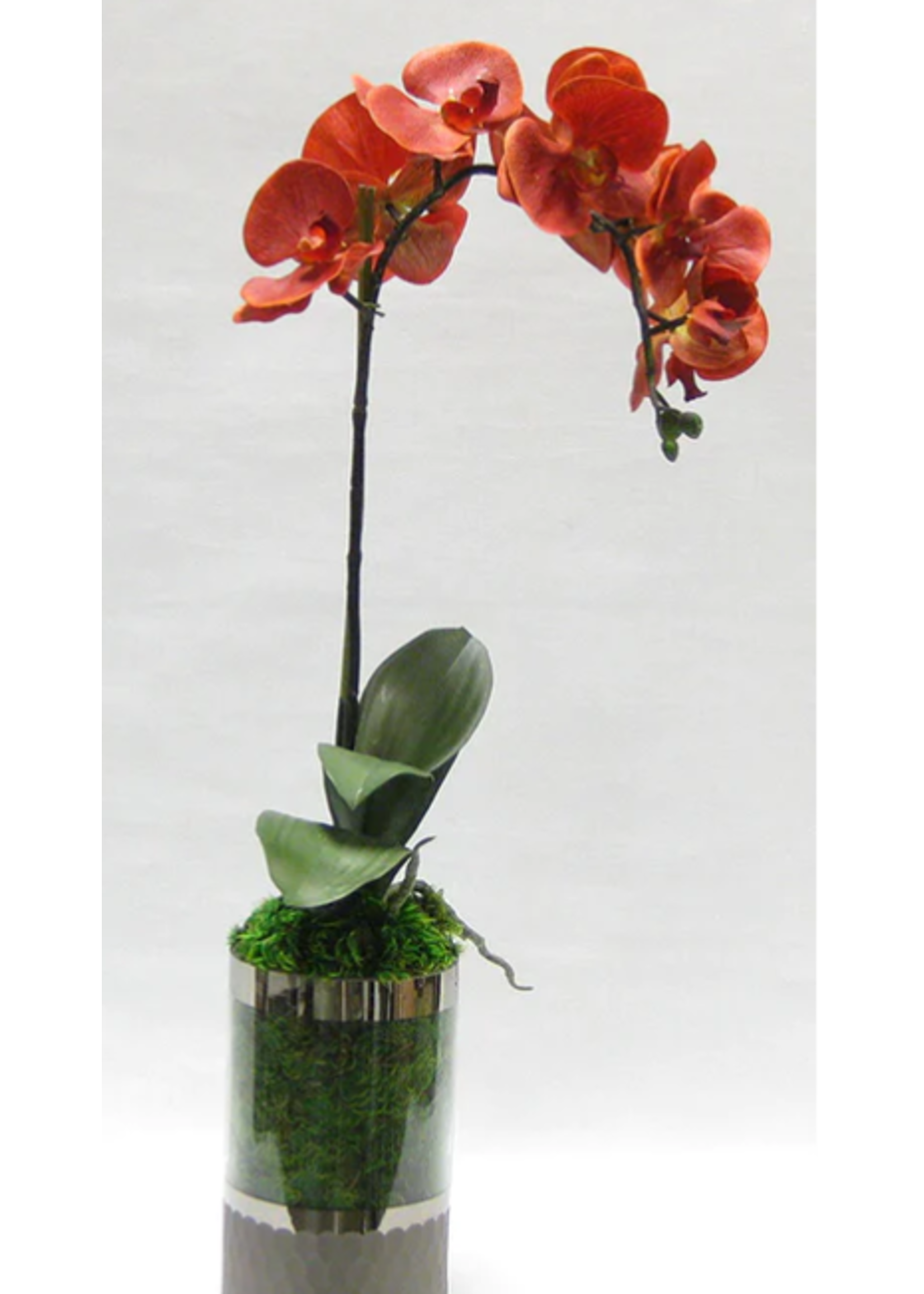 Bougainvillea Bougainvillea Orange Artificial Orchid in Smoke Glass Vase