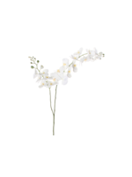 SHISHI SHISHI Phalaenopsis Flower Stem White/White 34"