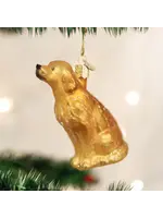 Old World Christmas Old World Golden Retriever Glass Ornament