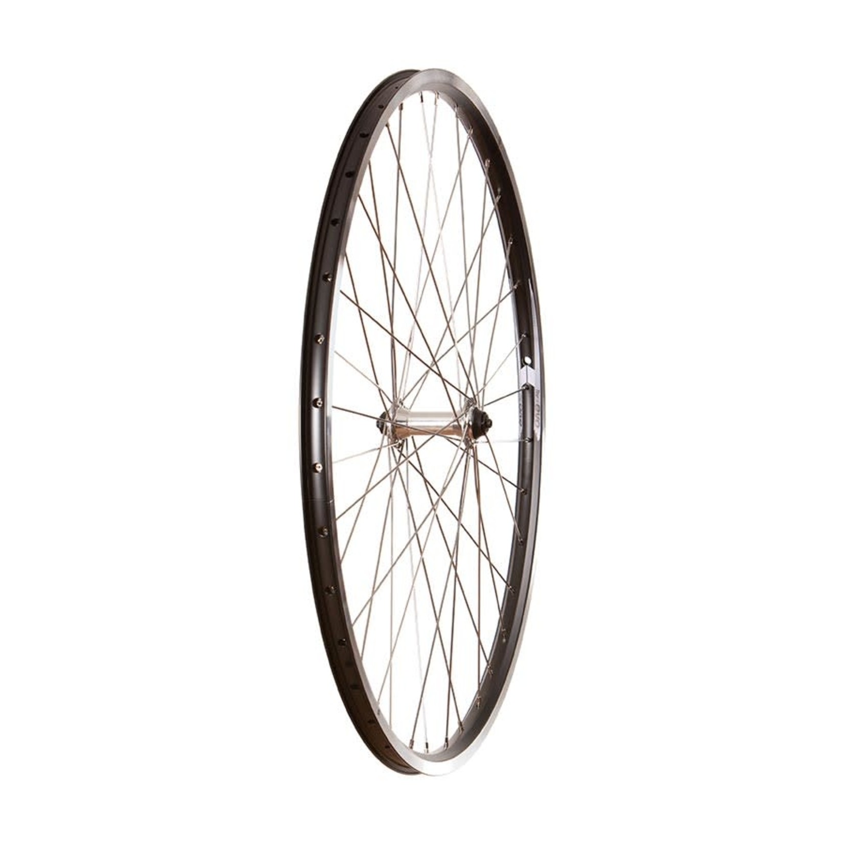 Wheel Shop Wheel Shop, Evo Tour 19 Black/ Formula FM-21-QR, Wheel, Front, Holes: 36, QR, 100mm, Rim
