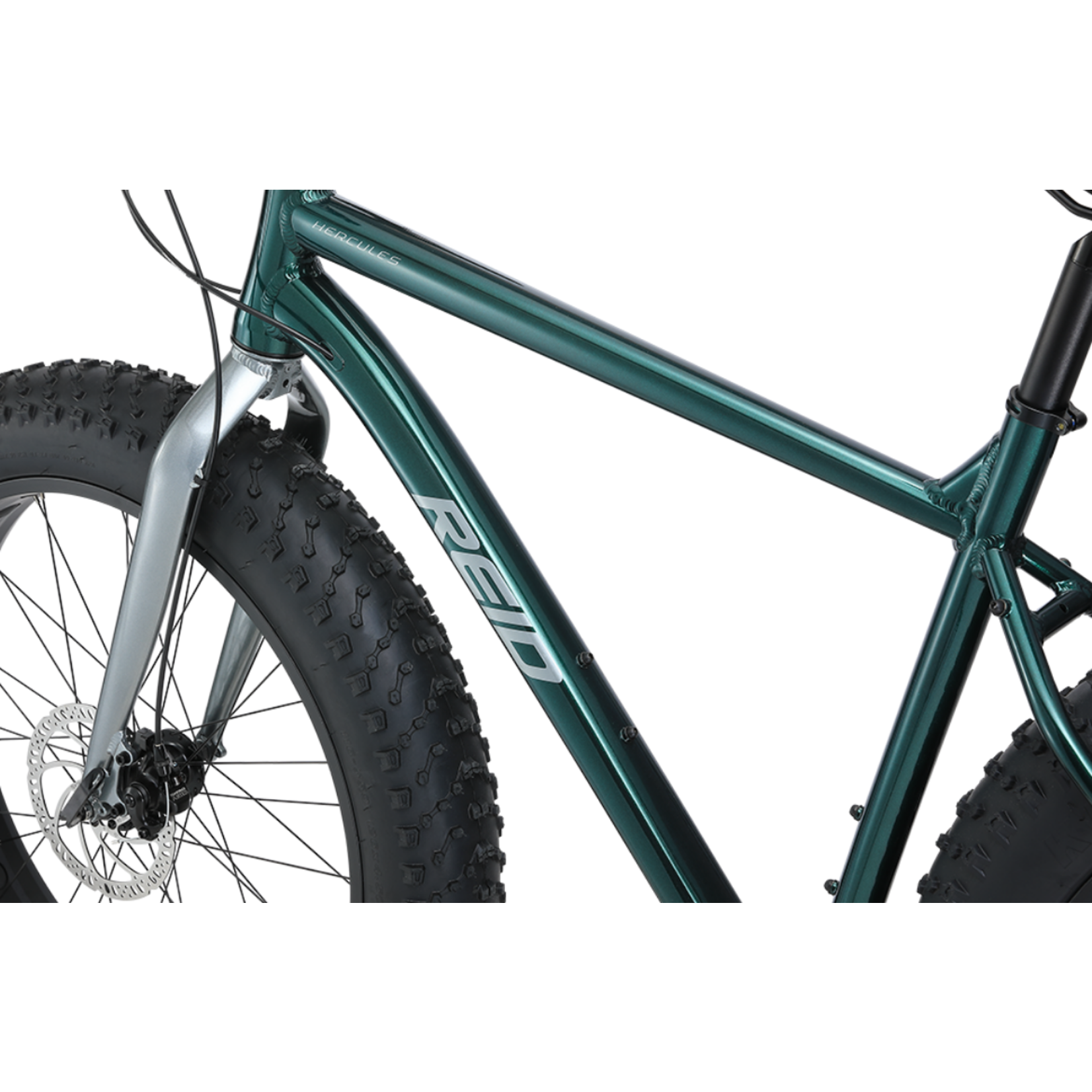 REID REID Hercules Dark Green Fat Bike