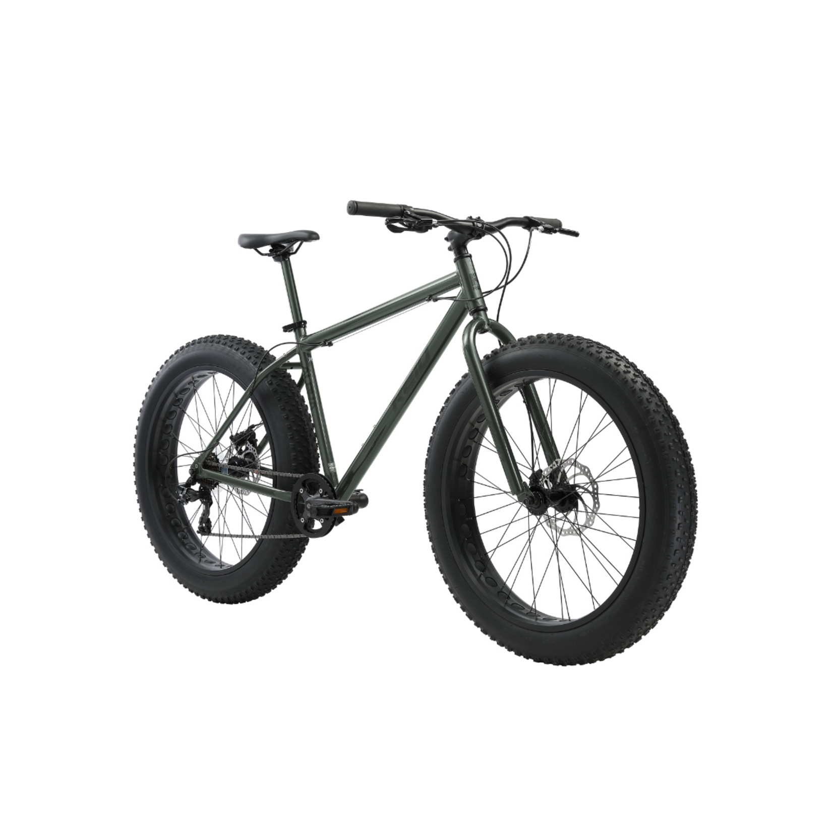 REID REID Alpha Green Fat Bike