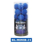 Blue Sports BALLES EN MOUSSE EVA POUR MINI-HOCKEY - 24 UNITÉS