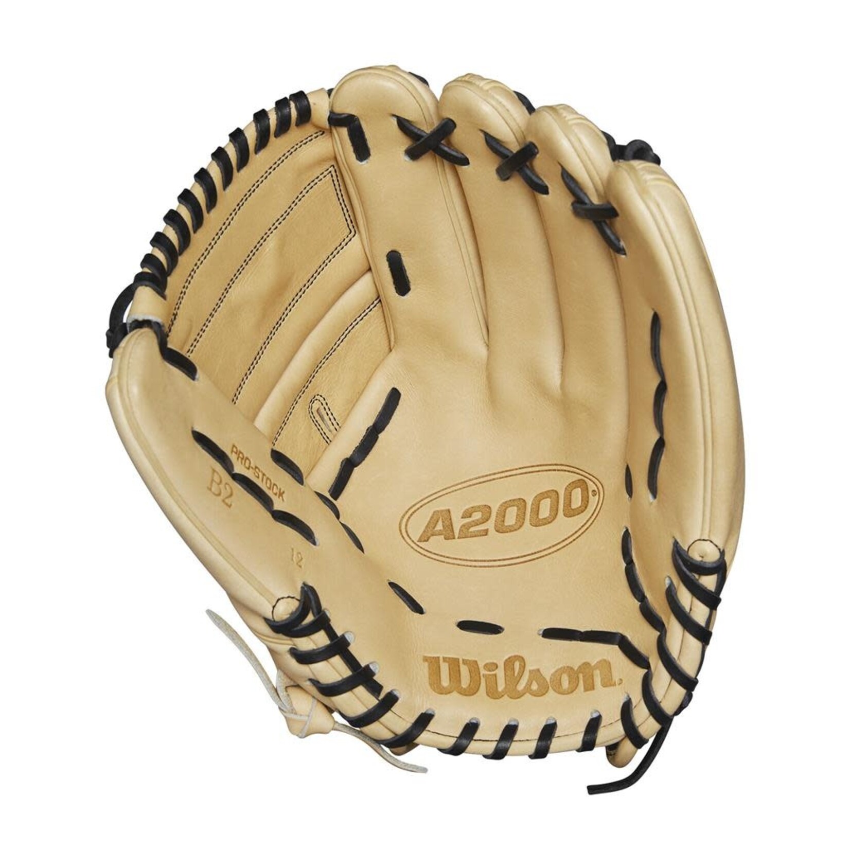 Wilson Copy of Gant A2000 B23 12" 2024