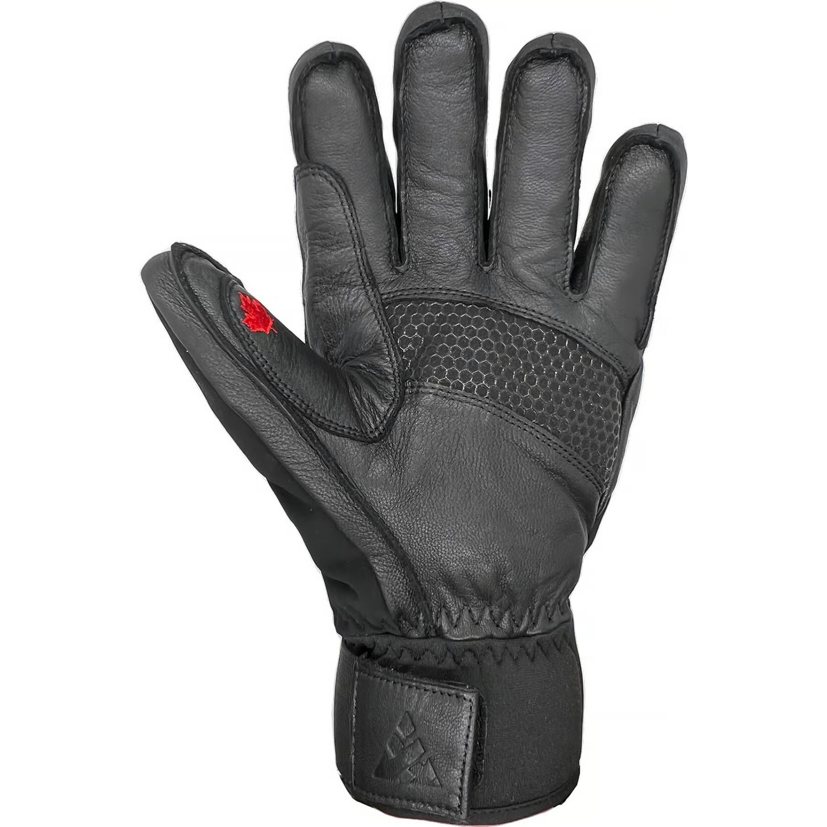 Auclair ICEBREAKER GTX WARM