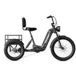 Taubik AXIS TRIKE
