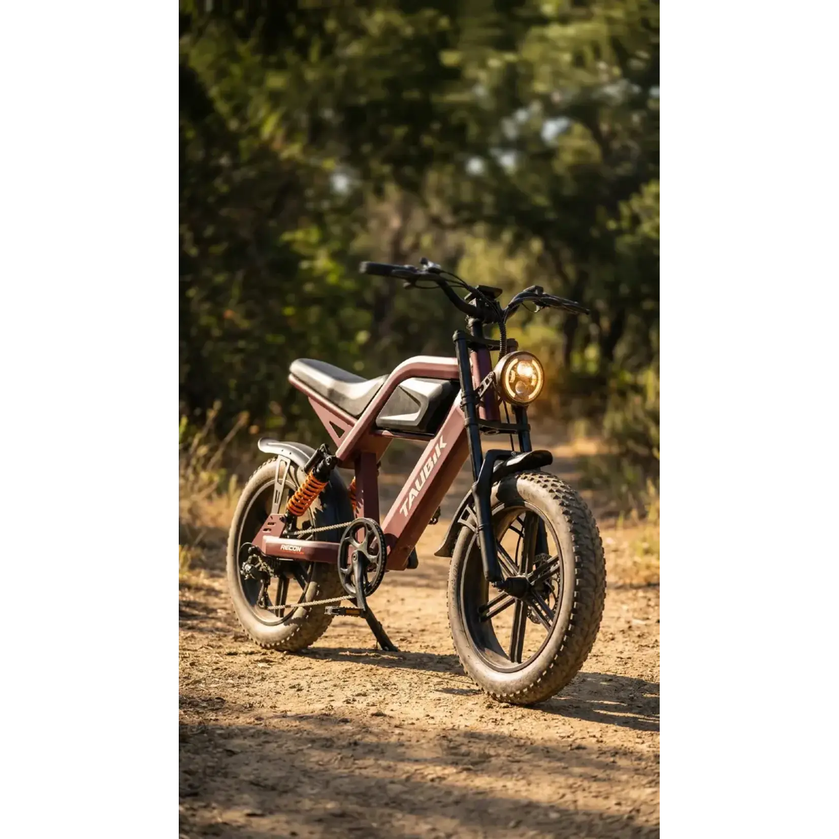 Taubik TAUBIK RECON E-BIKE