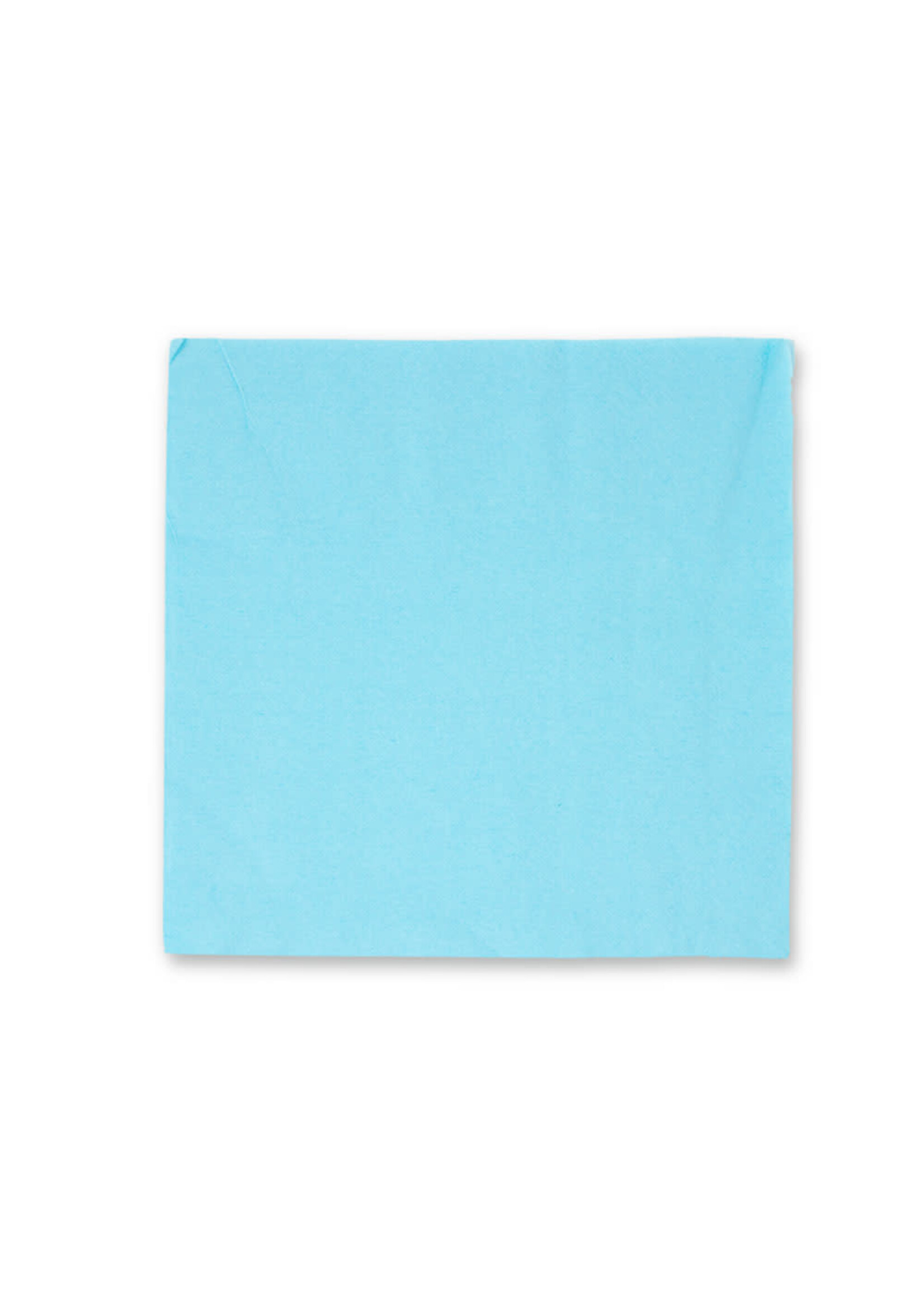 LUNCH NAPKIN 50CT 2PLY LT BLUE