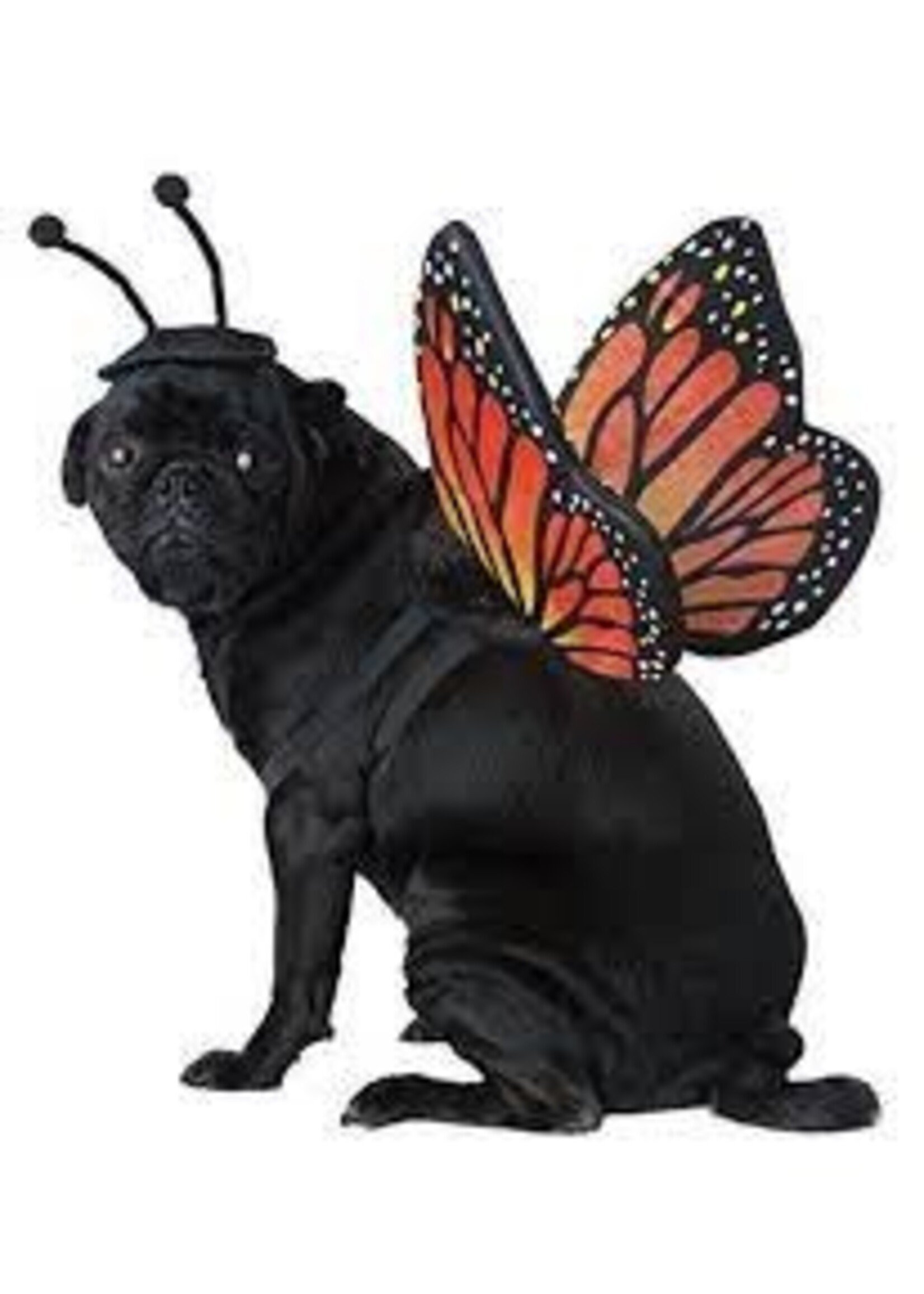 MONARCH BUTTERFLY DOG XSMALL