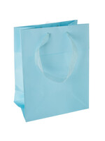 Baby Blue Medium Bag