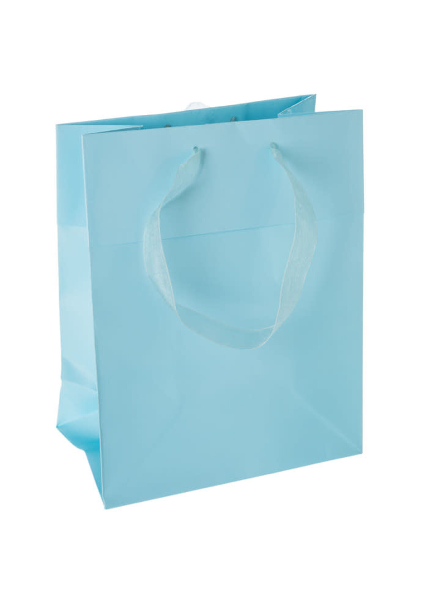 Baby Blue Medium Bag
