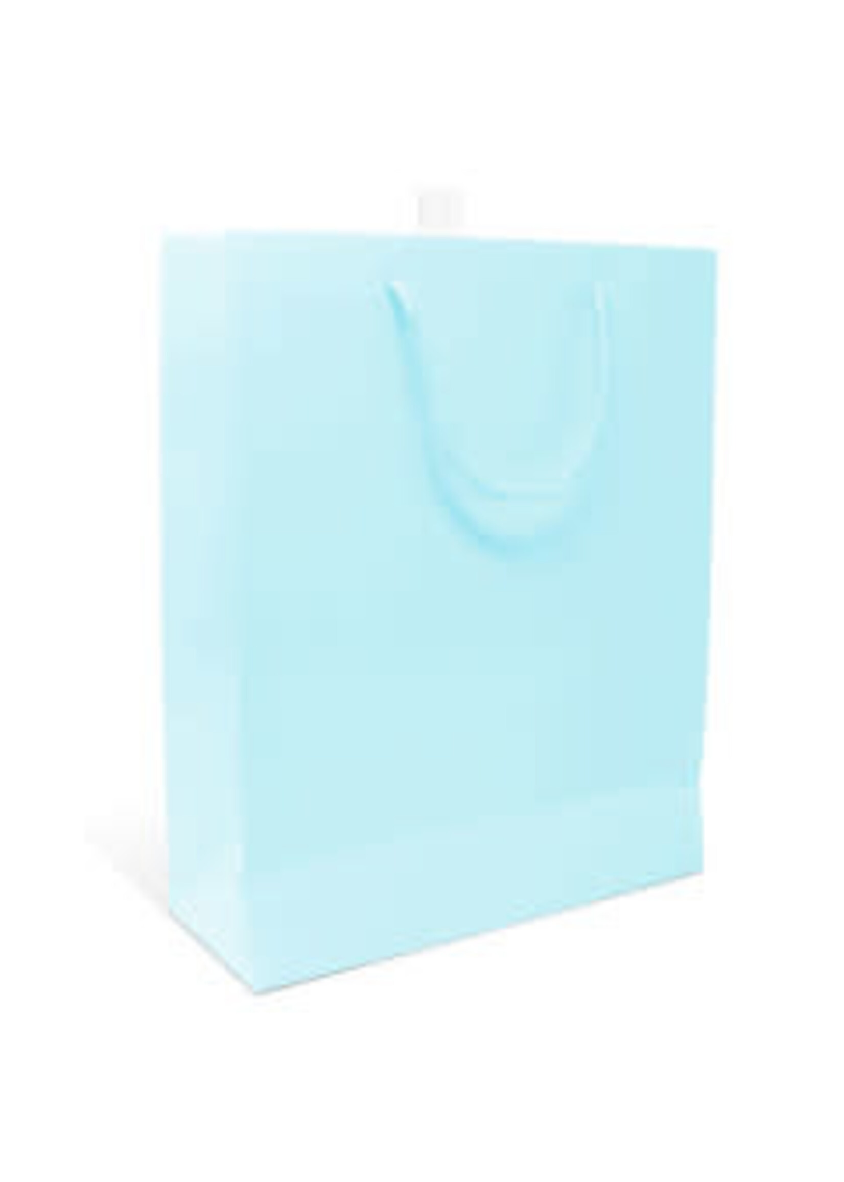 Baby Blue  Small Bag