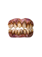 APPLIANCE - Zombie Teeth