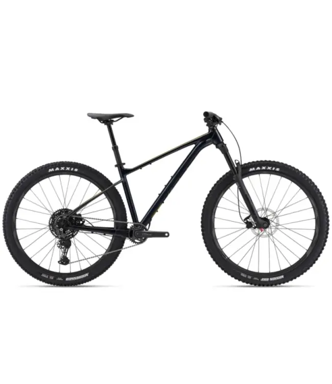 Giant Fathom 29 2 Large Cold night Mordy Bikes Kew Bikes