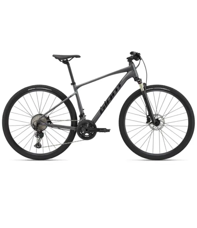 Giant Giant Roam 0 Disc Large Charcoal