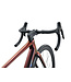 Giant 2025 TCR Advanced SL 0 DA