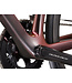 Giant 2025 TCR Advanced SL 0 DA