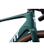 Giant 2025 Defy Advanced E+ EL AR