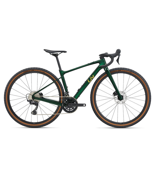 Giant 2025 Devote Advanced 2