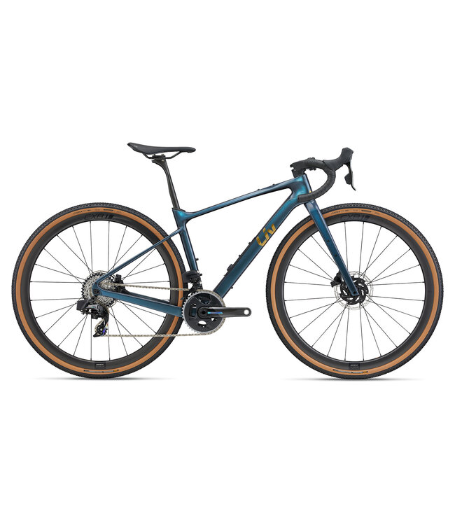 Giant 2025 Devote Advanced Pro