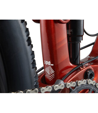 Giant 2025 Anthem Advanced 29 4