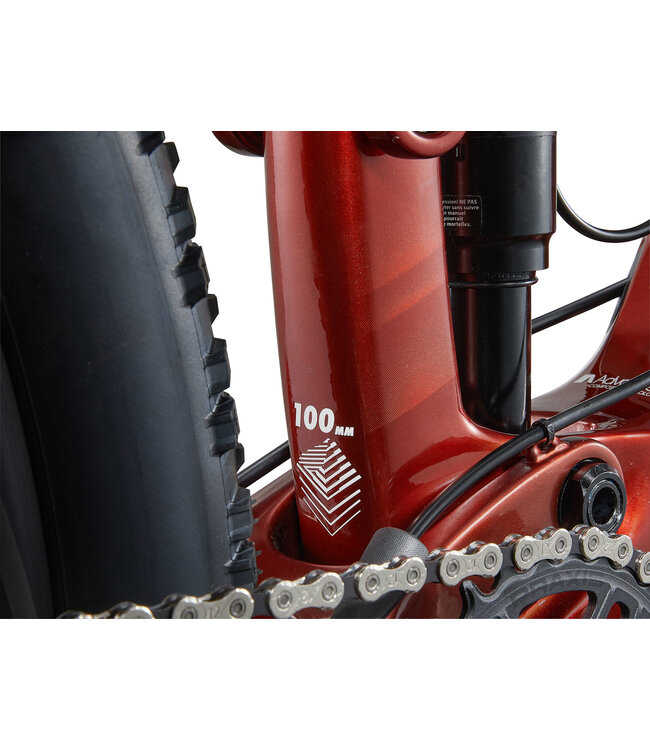 Giant 2025 Anthem Advanced 29 4