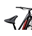 Giant 2025 Anthem Advanced 29 4
