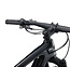 Giant 2025 Anthem Advanced 29 4