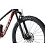 Giant 2025 Anthem Advanced 29 4