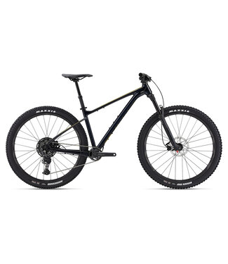 Giant 2024 Fathom 29 2