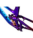 Giant 2024 Reign Advanced FR
