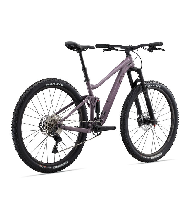 Giant 2022 Embolden 2
