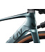 Giant 2025 Avail Advanced E+ EL AR