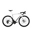 Pinarello Prince Disc TICR Frameset
