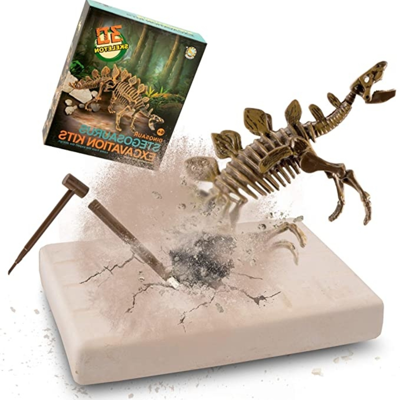 Liberty Stegosaurus Excavation Kit - Stegosaurus