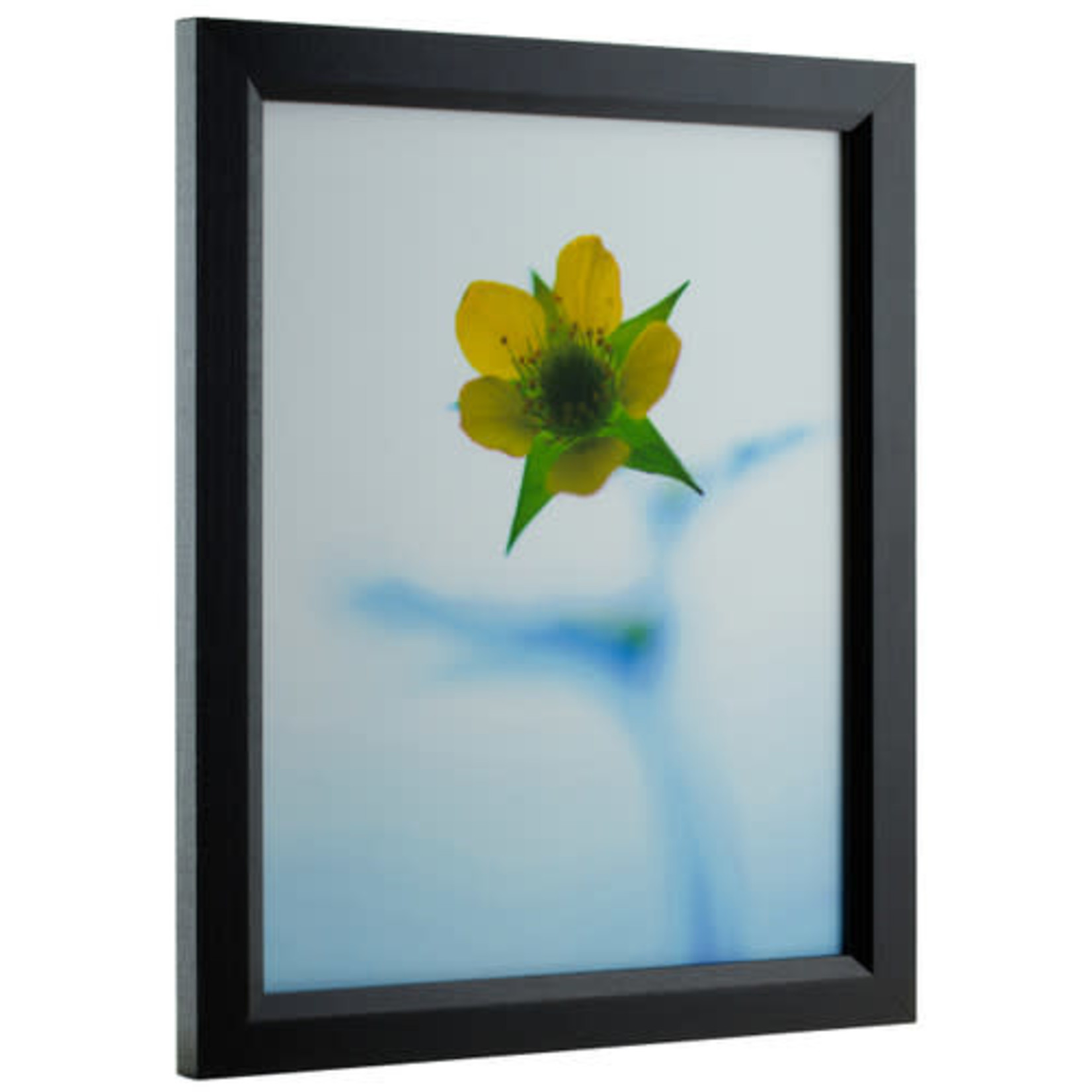 Craig Frame Ebony Hardwood Picture Frame