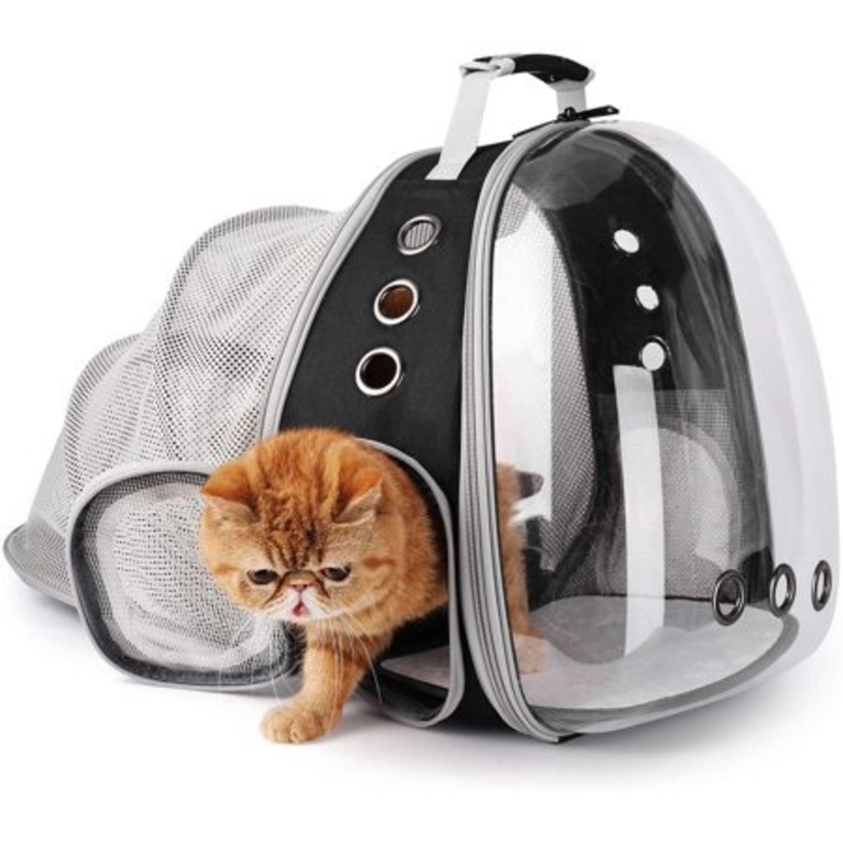Lollimeow Clear Window Cat Carrier & Backpack
